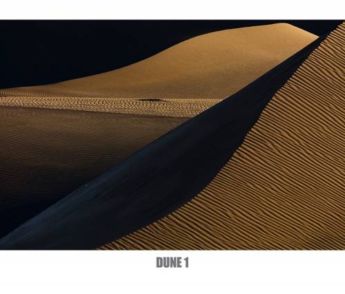 Francesca Piqueras, Dune 1 Francesca Piqueras, Dune 1