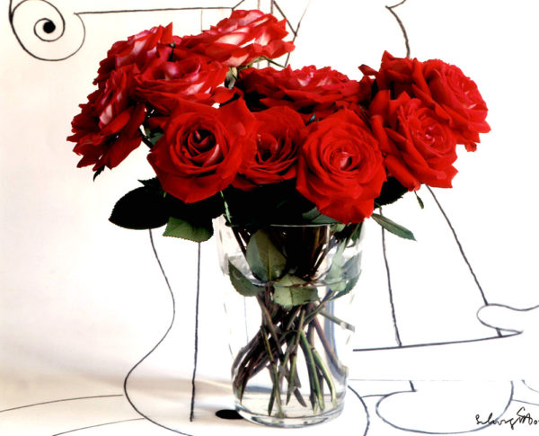 Ben Schonzeit, Red Roses Drawing, 2004, Cibachrome Photograph Ben Schonzeit, Red Roses Drawing, 2004, Cibachrome Photograph